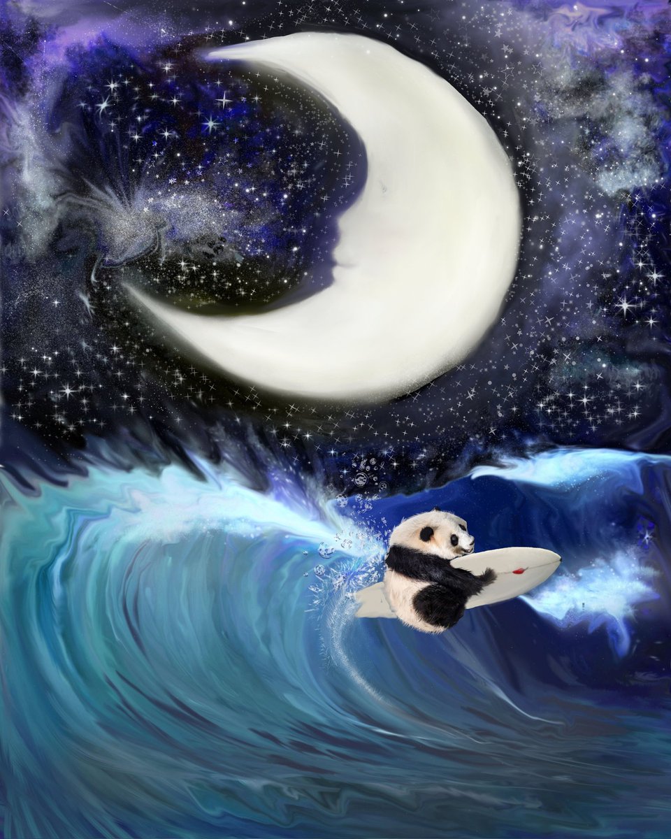 My #panda midnight #surfing