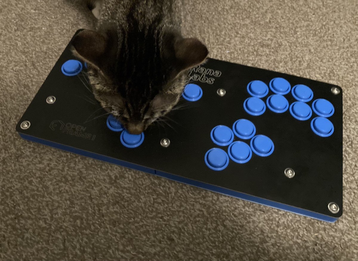 BrilliantBoxxes's tweet photo. WHEN YOUR TRAVELING TO A TOURNAMENT AND GET INSPECTED BY CUSTOMS #SuperSmashBrosUltimate #SSBM #SmashBros #gamecube #boxxController #esports #FGC #StreetFighter #valorant #cat #CatsOfX #VideoGames https://t.co/TeItess26N