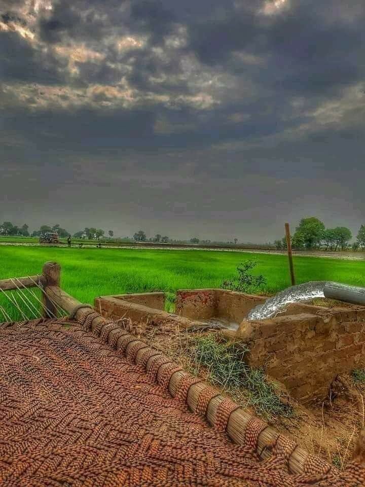 अकेलेपन से बढ़कर
आनन्द नहीं, आराम नहीं।
स्वर्ग है वह एकान्त,
जहाँ शोर नहीं, धूमधाम नहीं।