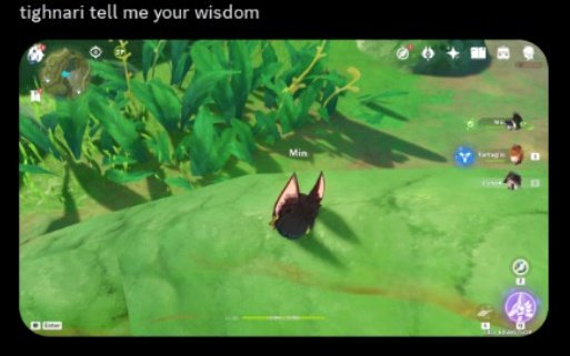 // ARWEN'S HERE ????