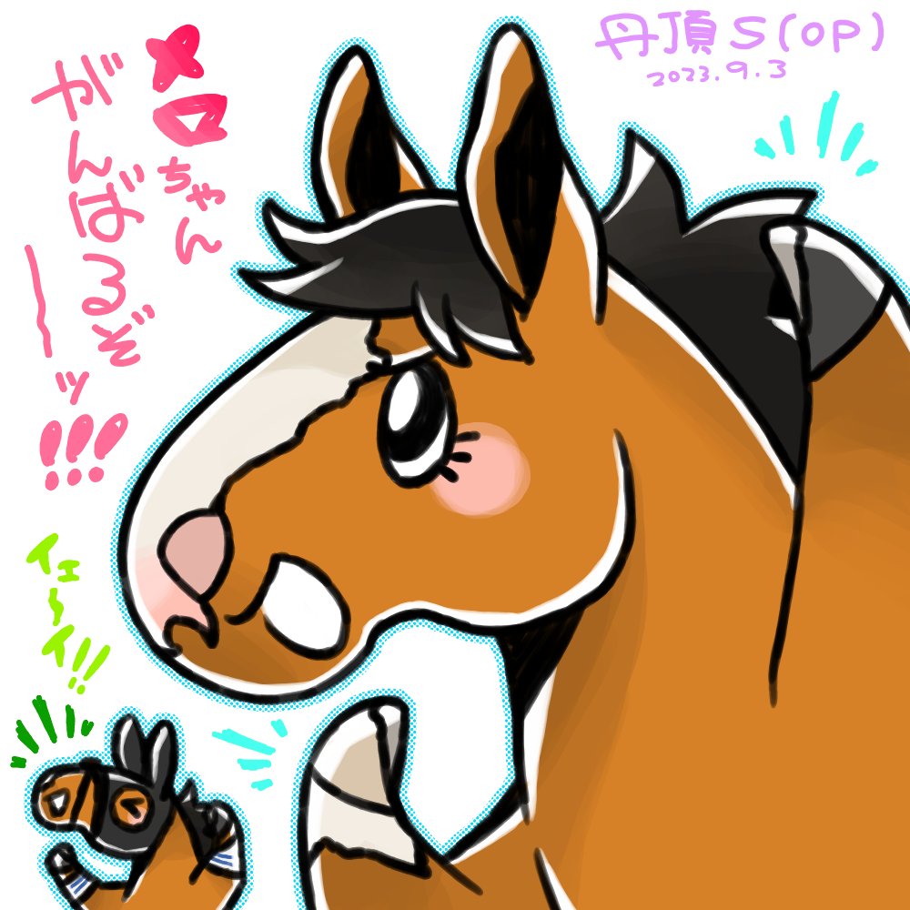 今日の札幌メインは丹頂S!みんなのちっちゃなアイドルホース、メロディーレーンちゃんが走るぞ!応援しようね!( *'ω'*)و グッ! 