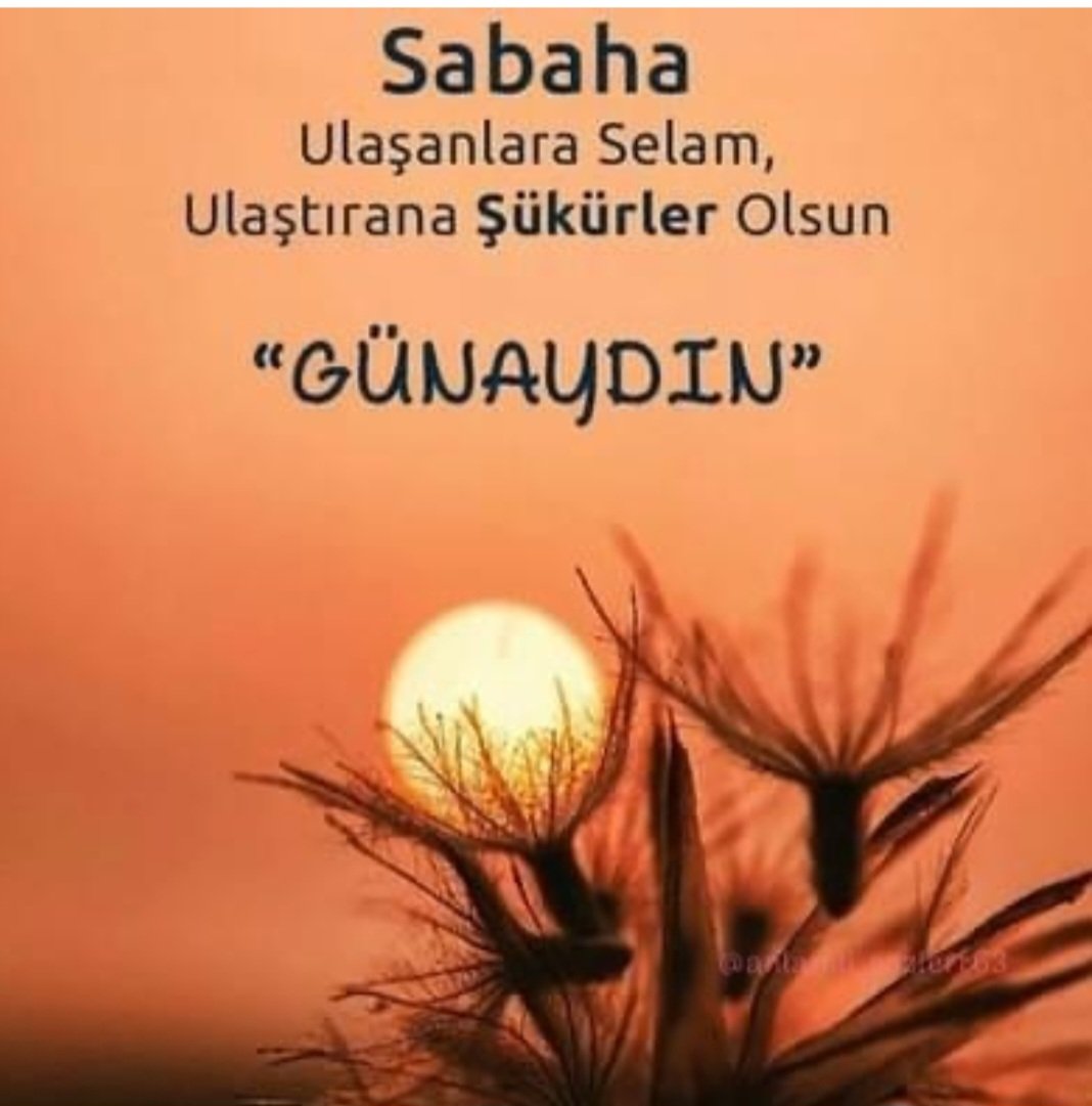 Günaydın hayırlı sabahlar mutlu pazarlar 
Her şey gönlünüzce olsun dostlarım #Mutlupazarlar 
#Hayırlısabahlar