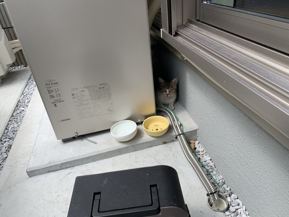 LinkGuam's tweet photo. スキマねこ🐈‍⬛ https://t.co/8rFxeNtwF9