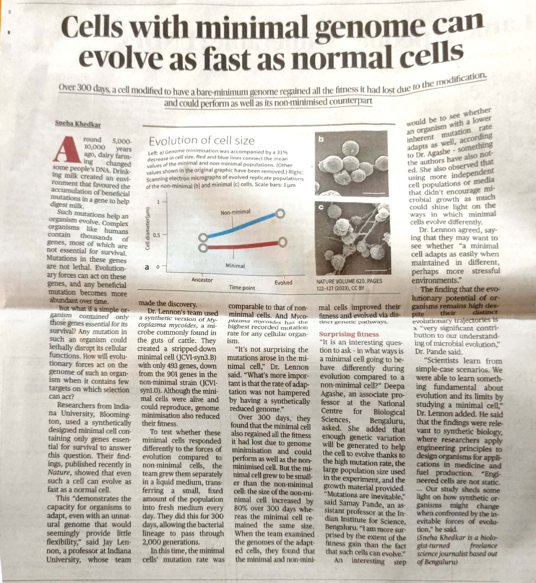 bevsxyz's tweet photo. @iamsamayp it was a pleasant surprise to find you on hindu today! https://t.co/jxYJIP7axK