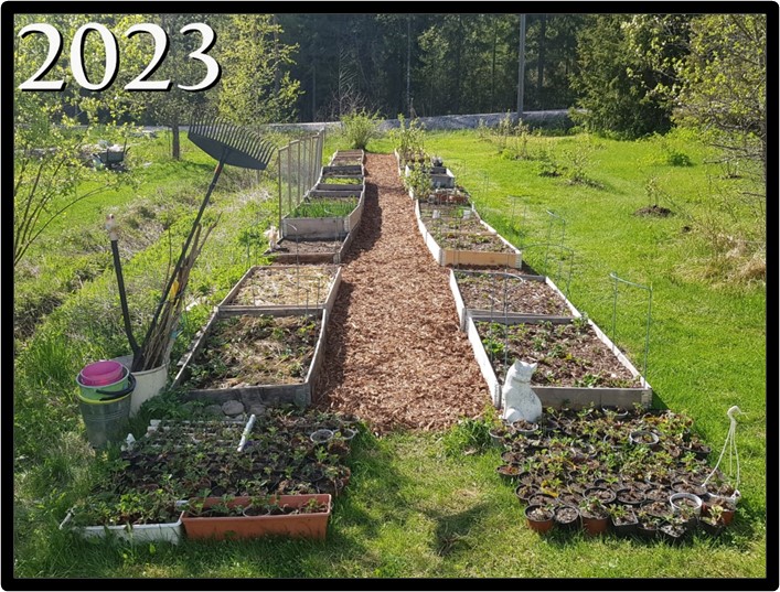 rosieamber1's tweet photo. ๐บEnchanting Gardens: Today We Visit Angela And Her Garden In Finland. #LoveGardening #GardensOfTheWorld
Join us for a virtual garden tour here
https://t.co/11tvosC6bI https://t.co/k7HeLjeSUT