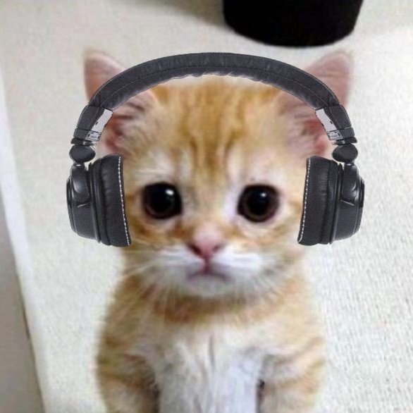 😭🤏

#G22_ALFEA <a href="/zuluetAlfea/">G22 Alfea</a>