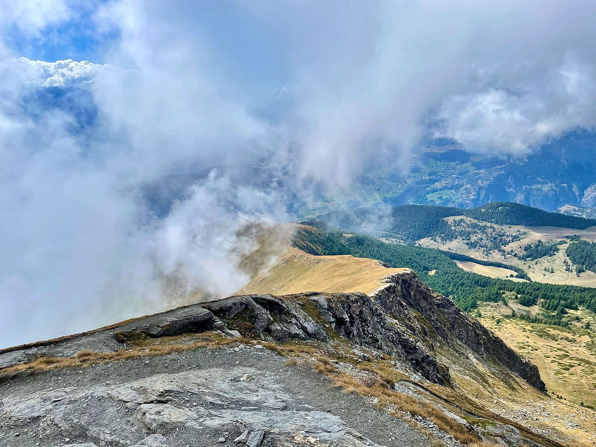 MaxMart4810's tweet photo. Mont Zerbion, cresta occidentale #iocorroqui #todaysplayground #montzerbion #trailrunning #inaltoteam #inaltotrail #valledaosta https://t.co/v11pNGf37P