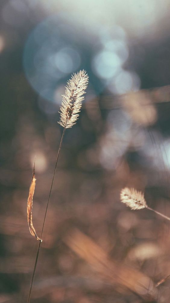 나름긔염 tweet media