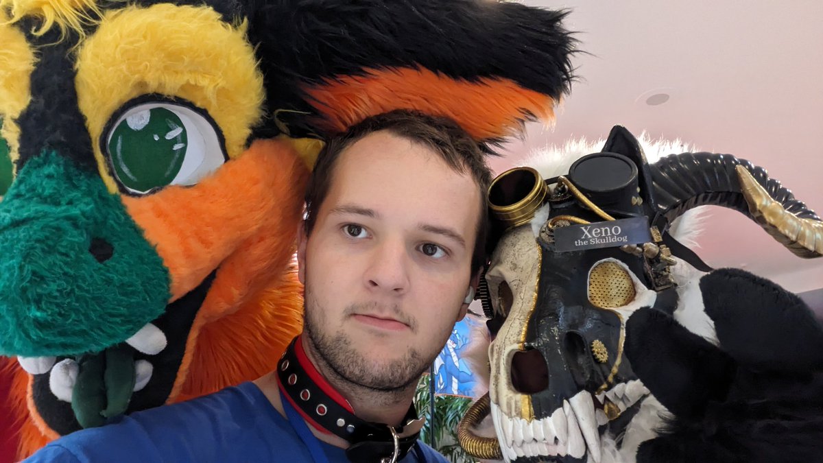 Pike The Dutchie (@AaronTheWolfie) / Posts / X