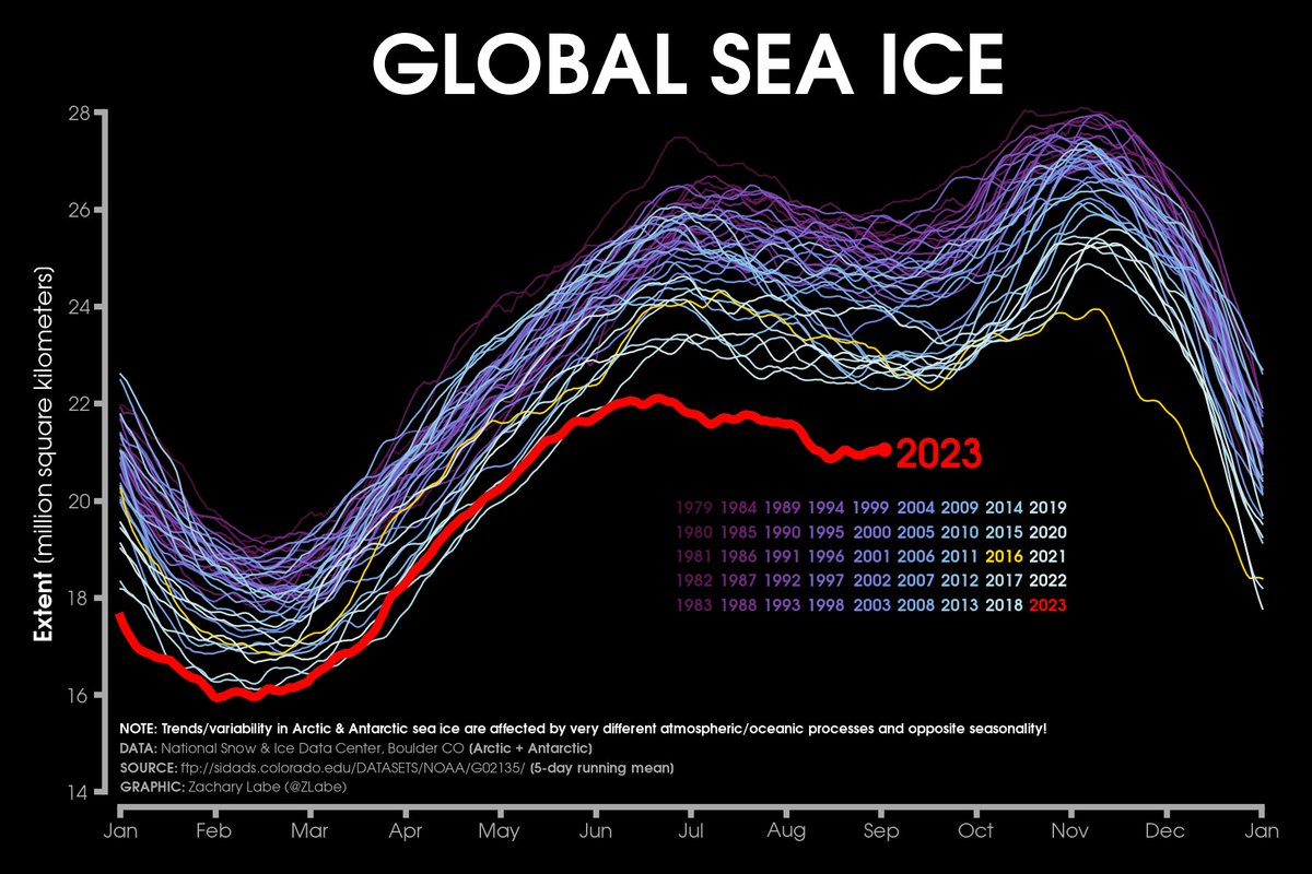 Another week goes by with global sea ice still setting new daily record lows...

More visuals at zacklabe.com/global-sea-ice…