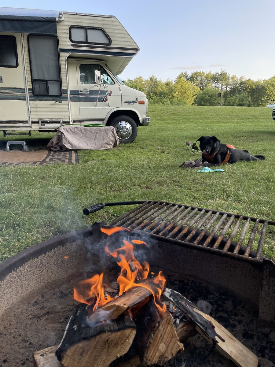 artsymagee's tweet photo. Today marks ✨100 days✨ of living full-time in our RV, Reggie the Rig! 🚐💨

I feel like a complete natural at RV life now, but in case the Universe is listening, an actual home before winter would be lovely! 🤍 https://t.co/1zlm41nOvj