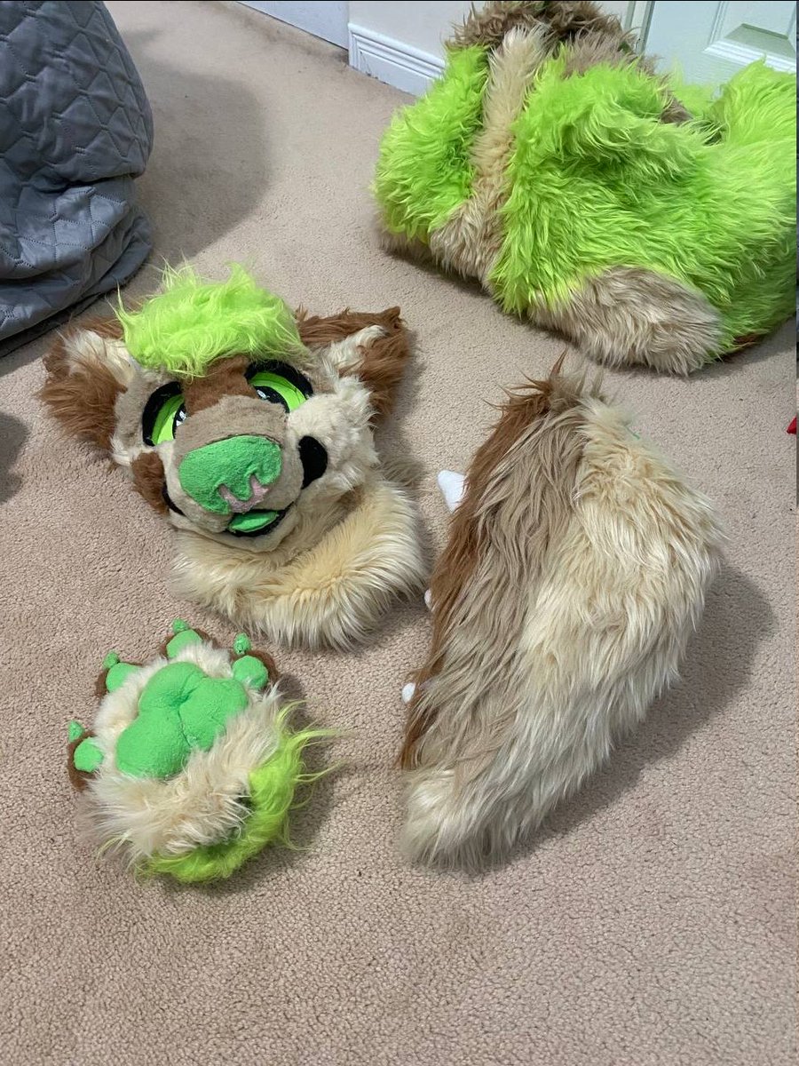 GaiusGuy's tweet photo. Anyone in Ontario or Quebec lose a fursuit?
This lad here was found in a thrift shop https://t.co/couawU6Bfz