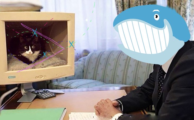 unusual_whales tweet media