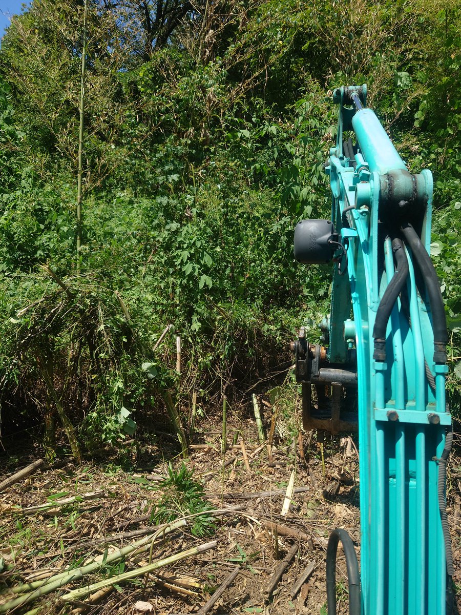 山の開拓開始！