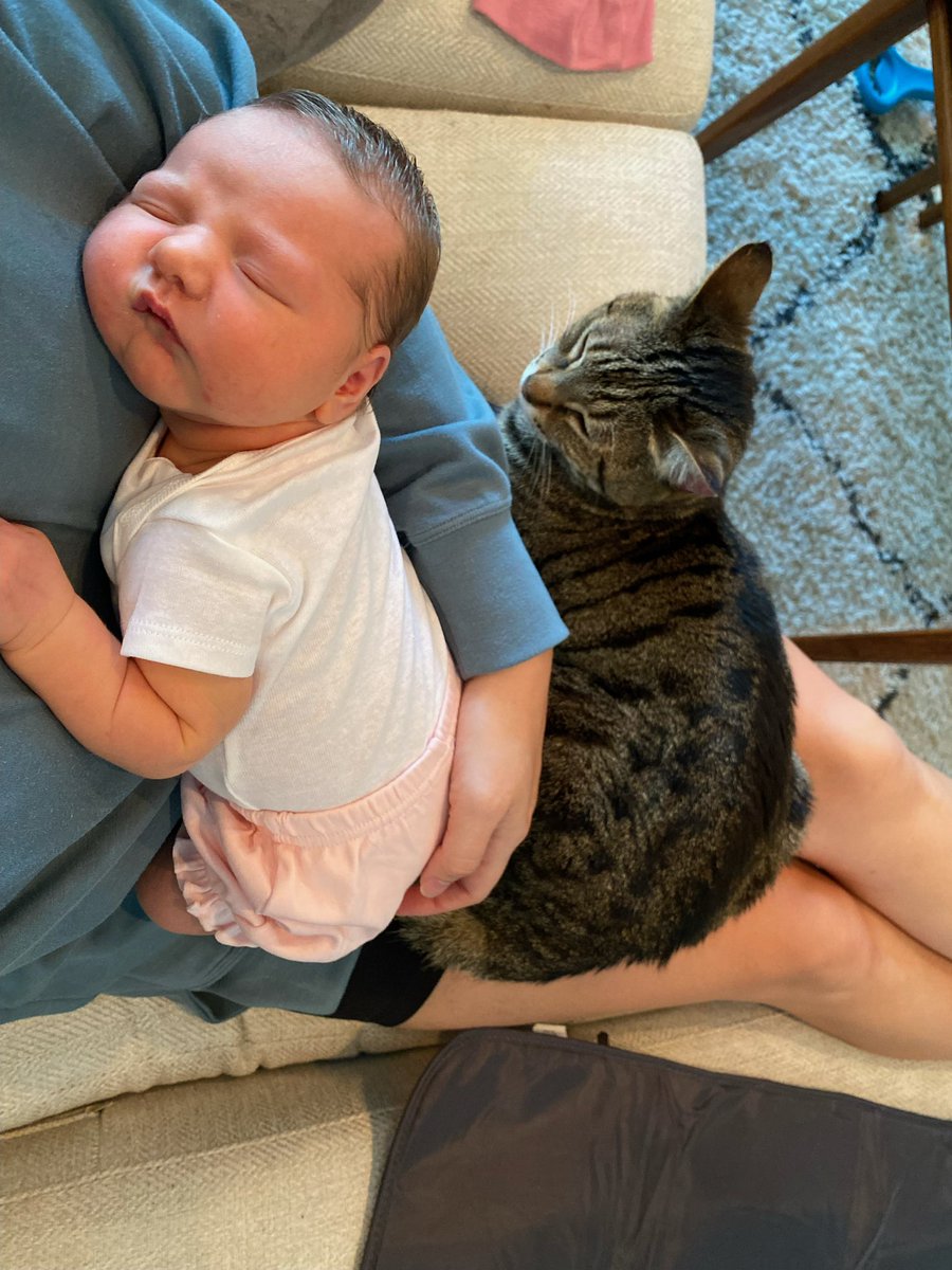 From this ➡️ that! My absence from sharing the excitement of the start of the school year has been because this Little Lady decided to join us 2 weeks early! We are wishing <a href="/WayneThomasscho/">Wayne Thomas School</a> the most amazing start to the year!