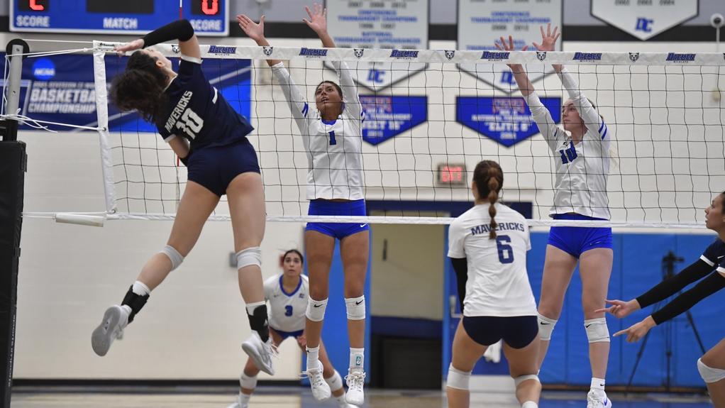 Daemen Wildcats tweet media