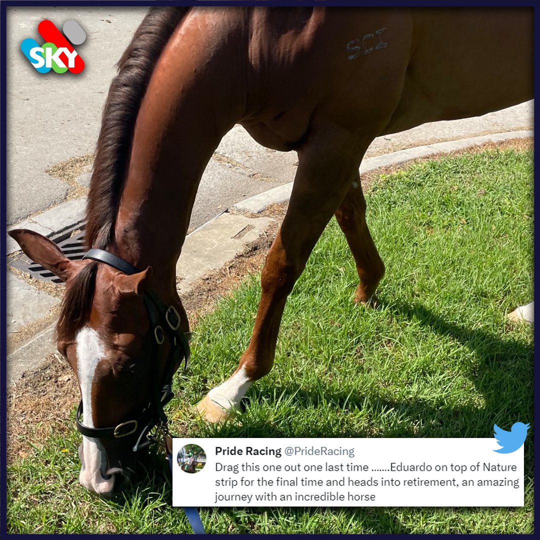 SkyRacingAU's tweet photo. Eduardo has run his last race after a super career!

Enjoy retirement buddy, you will be missed. 👋 https://t.co/WojskIZMOj