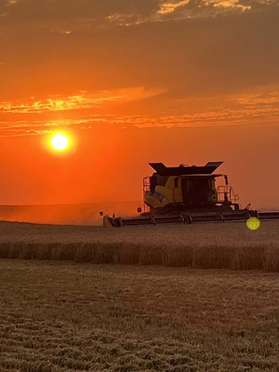 Hoping to find the end of the wheat tonight and roll into some Canola right away.
