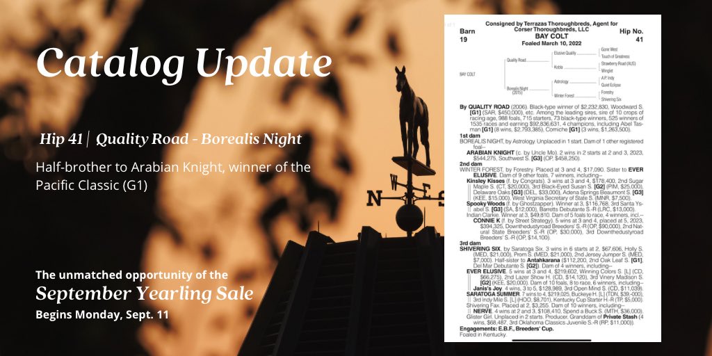 keenelandsales's tweet image. Big #KeeSept update going into Book 1! Find a half-brother to Pacific Classic (G1) winner Arabian Knight as hip 41 selling with Terrazas Thoroughbreds.