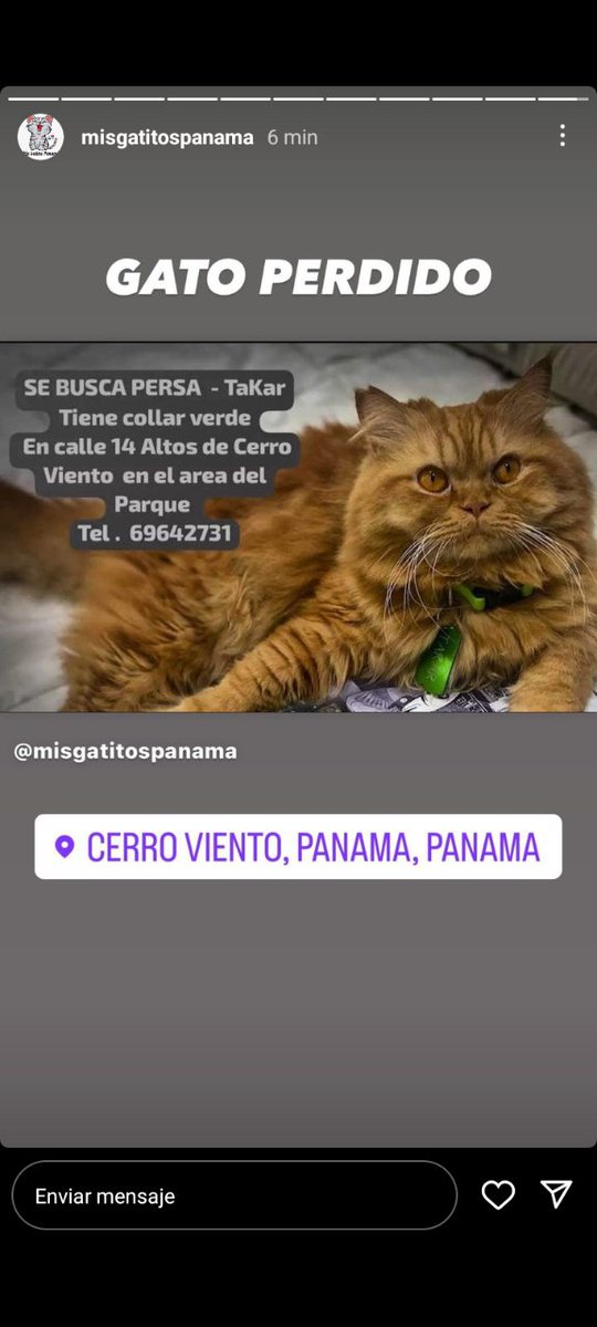 Nacelys González tweet media