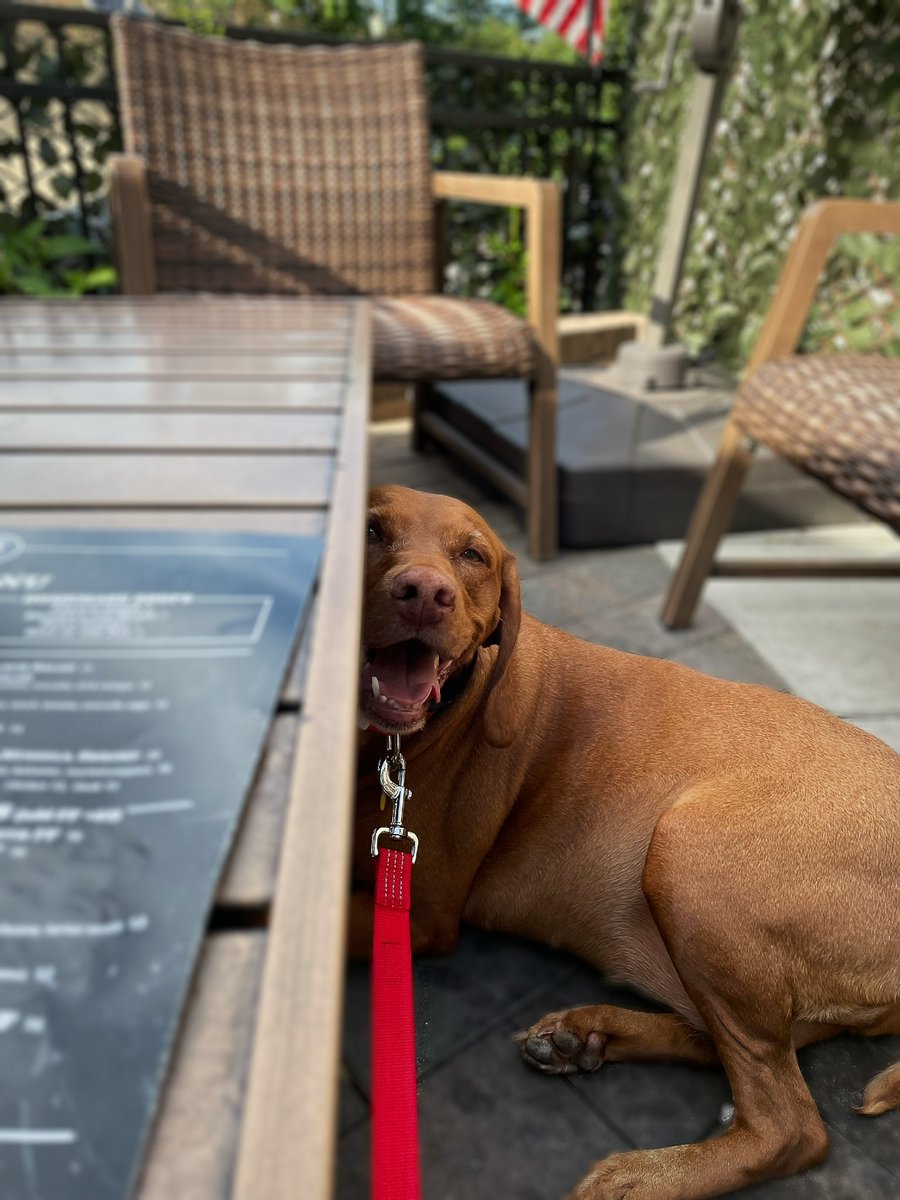 Agata Dera tweet media