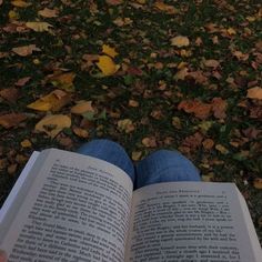 gingerspiceread's tweet photo. hi guys! i am not new to #booktwt but i want interactions so bad and it is fall season finally! 

she/her
taylor swift
and i make most things my entire personality 

my fav books are
marriage for one 
bittersweet memories 
magnolia parks

interact to be moots love you all🫶🫶 https://t.co/wjZf9gYk5x