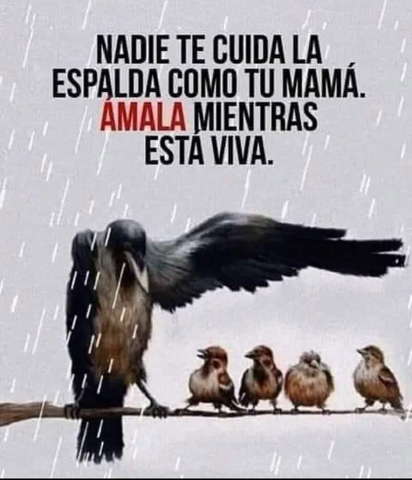Paulo Coelho Español (@paulocoelhodice) on Twitter photo 