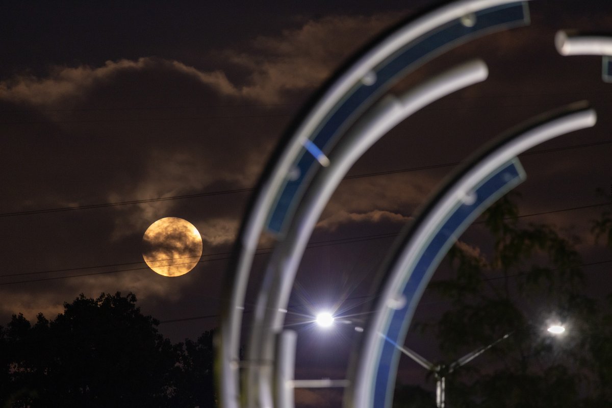 UToledo's tweet photo. UToledo staff member James A. Molnar shared images of Wednesday's "Super Blue Moon" over campus. https://t.co/SBHgJEIO0p
