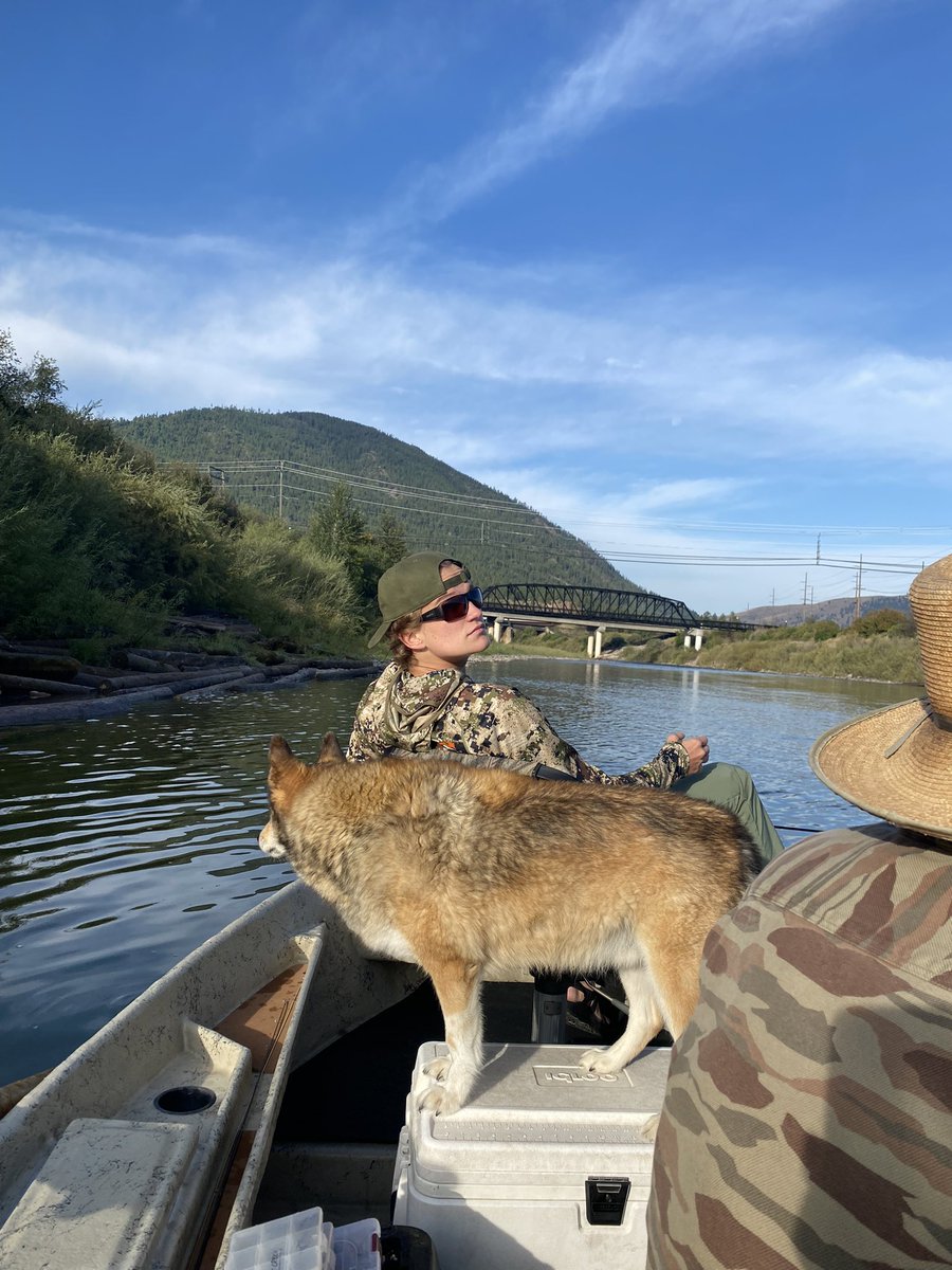 Travis Adams tweet media