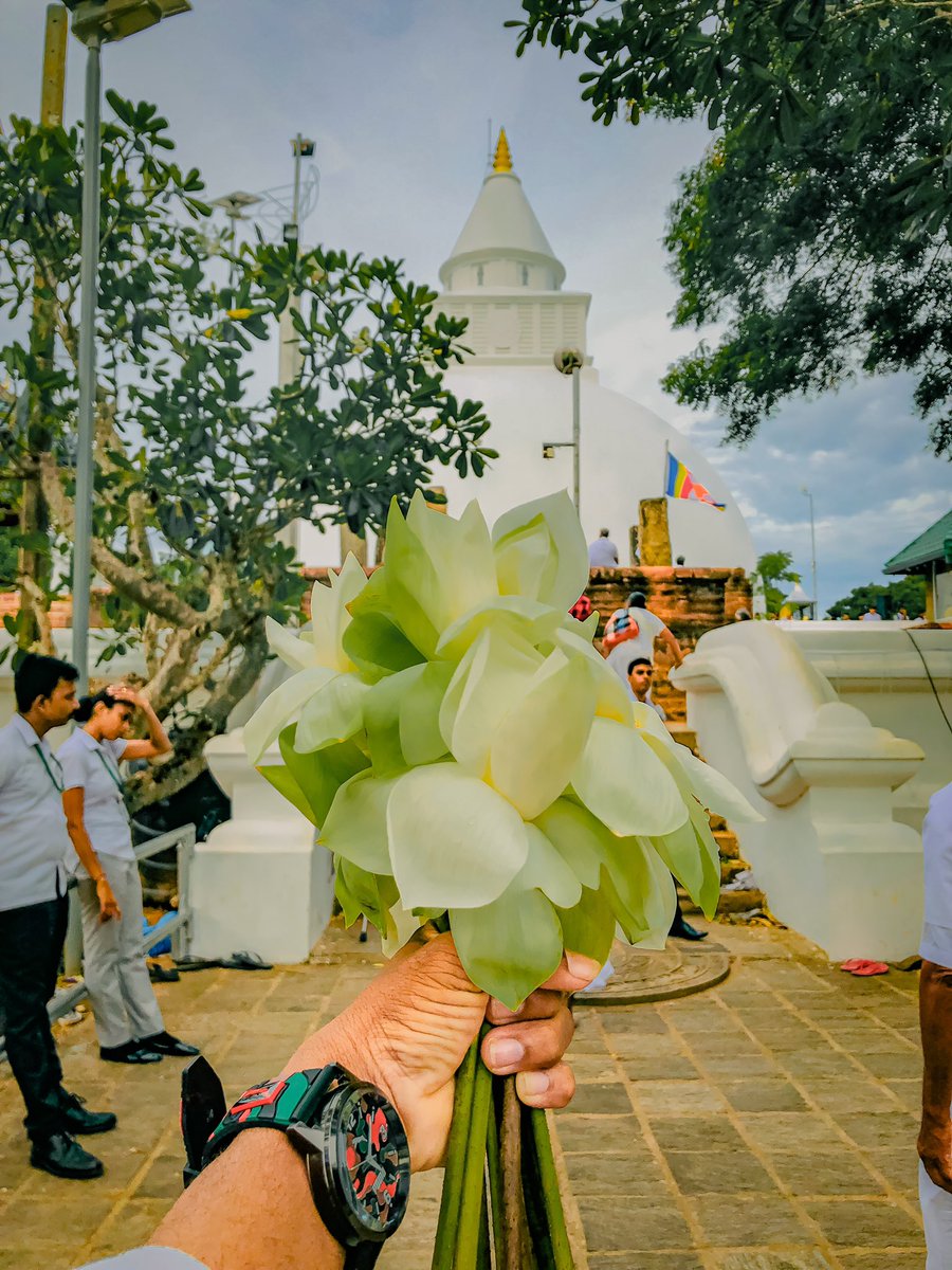 කිරිවෙහෙර කතරගම 🌸🙏🤍

#kiriweherakataragama #kiriwehera #kataragama #srilanka #ceylone #post #photo #photograph #kaveesha_kavinda #kavee_boy_