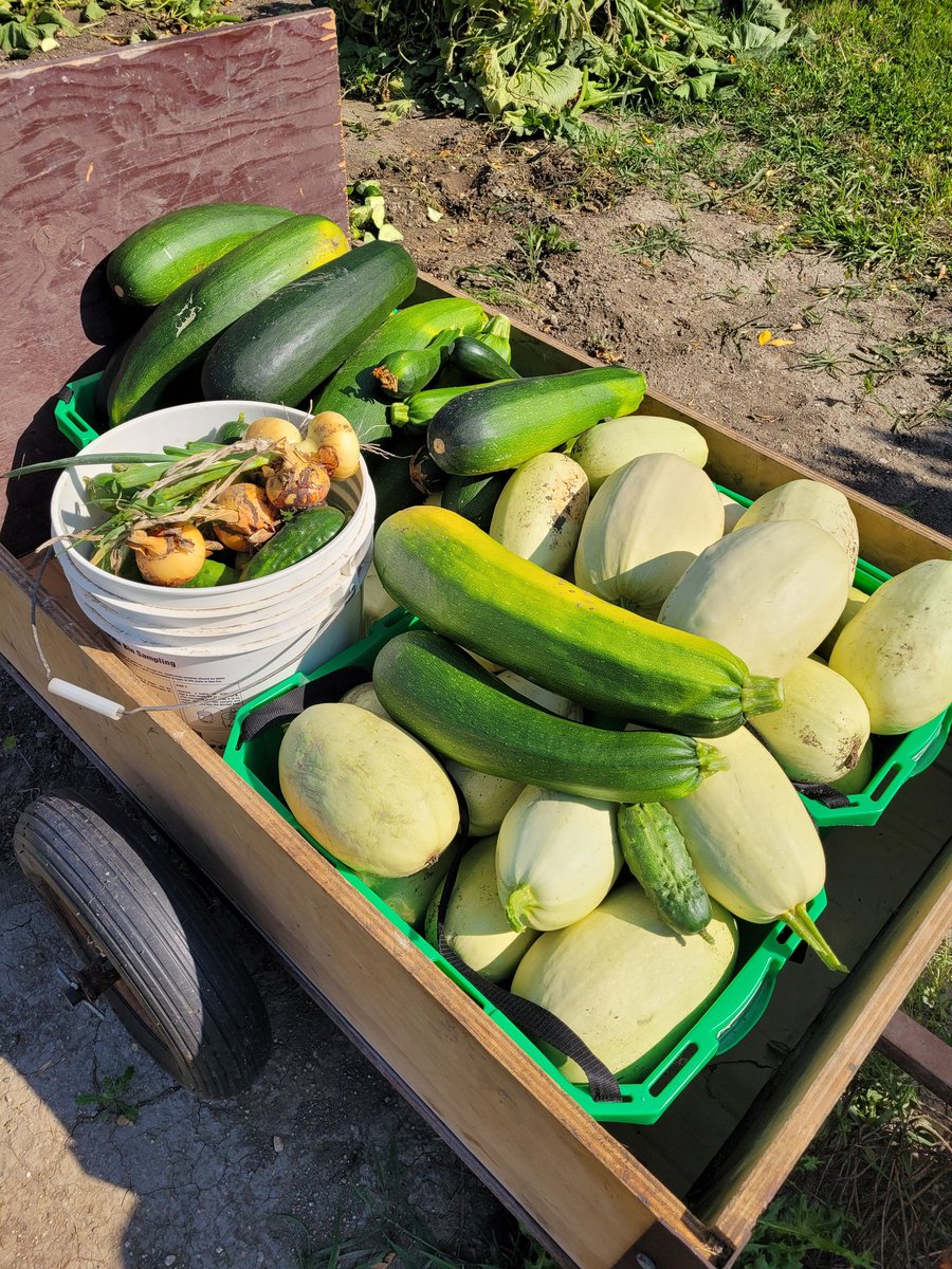 Sandra Diduck tweet media