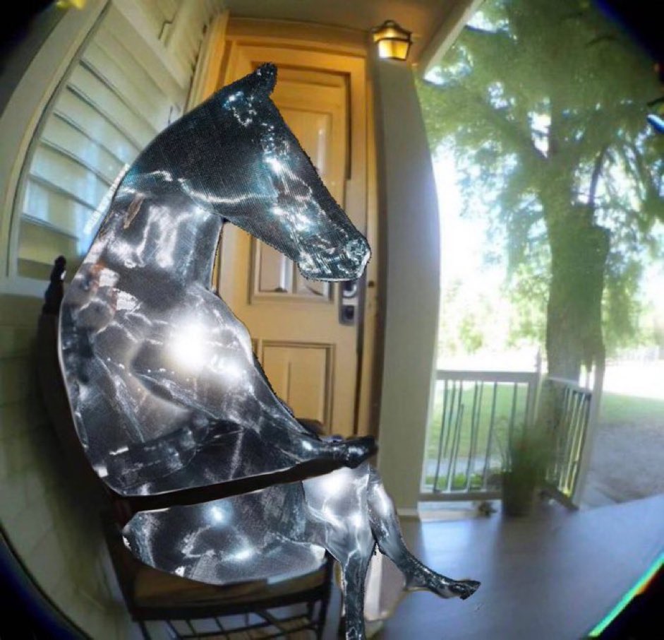 Reneigh after this tour