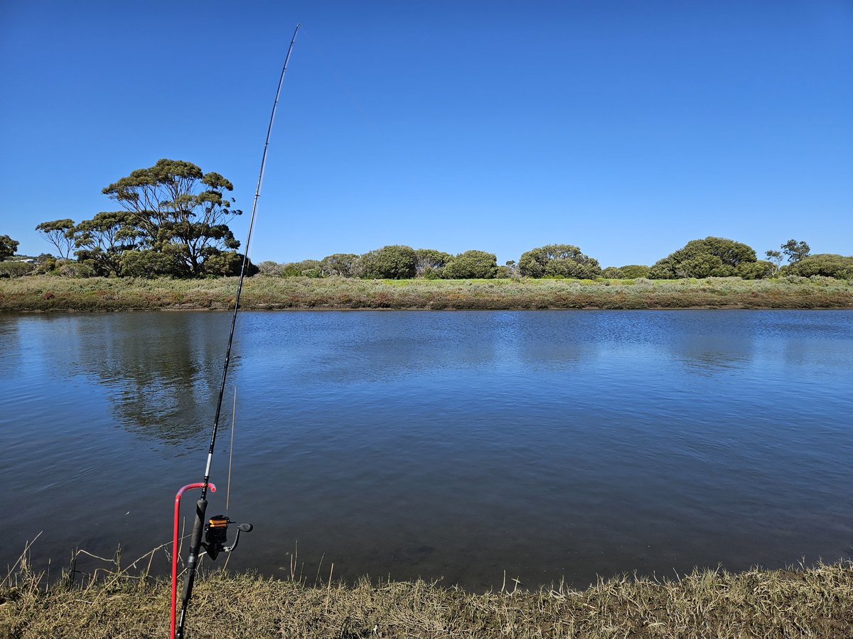 Zaren Highwind tweet media