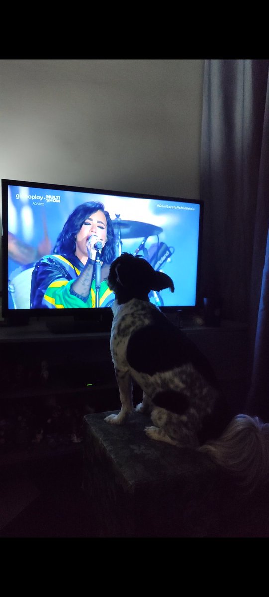 ivansoueu's tweet photo. Tenho um cachorro que curte Demi Lovato e posso provar... Esse é o Buddy e sua diva! 

#DemiLovato #TheTown2023 #TheTown2023NoMultishow https://t.co/MQQCUv3yXd