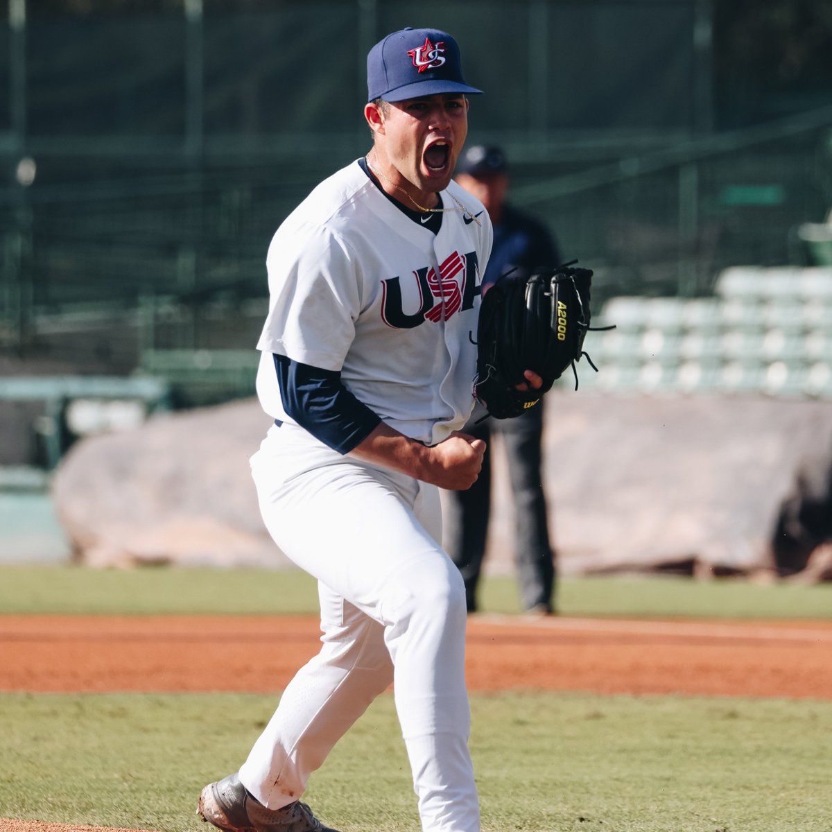 USA Baseball 18U tweet media