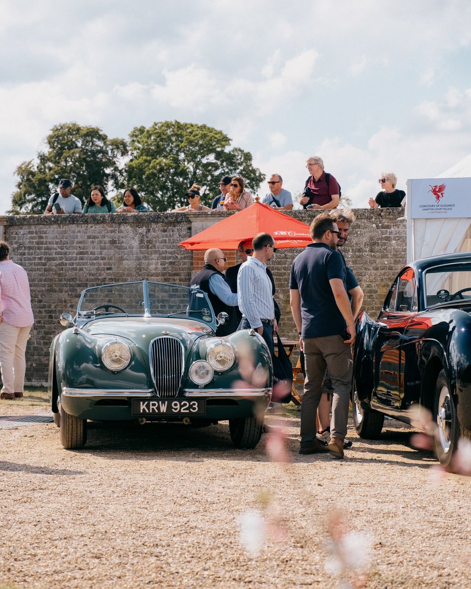 JDIconic's tweet image. A glorious Day 2 at Concours of Elegance at Hampton Court Palace today.

An amazing selection of Jaguar’s out in force today on the showground’s.

If you are coming to Day 3 today, please do stop by and meet our team on Stand 41.

#jdclassics #concours #hamptoncourtpalace