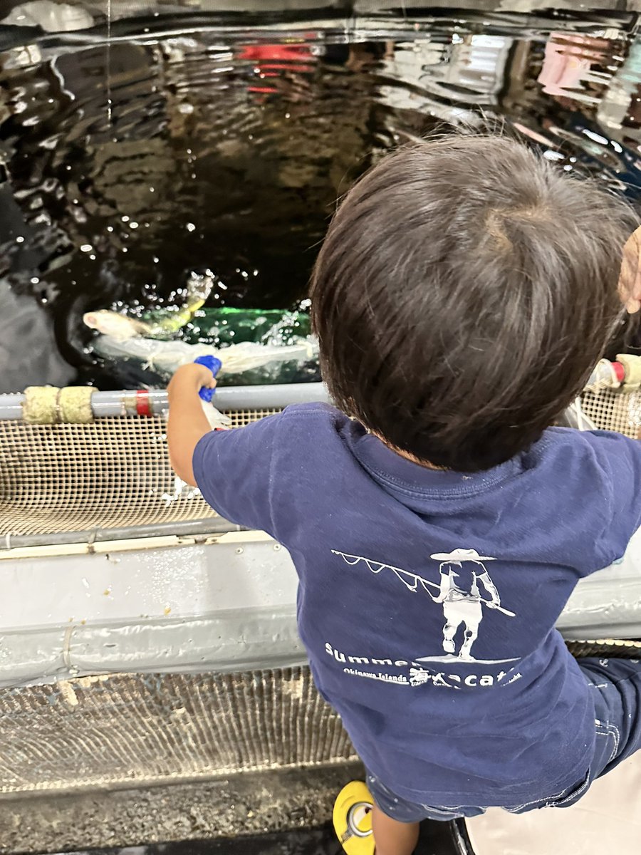 江戸川区にある釣り堀金ちゃん。 俺も行き出して35年目になりました