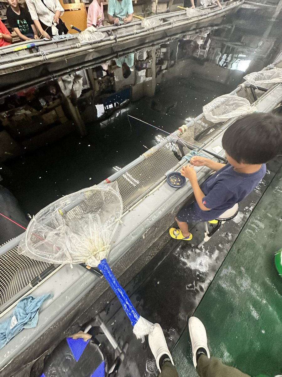 江戸川区にある釣り堀金ちゃん。 俺も行き出して35年目になりました