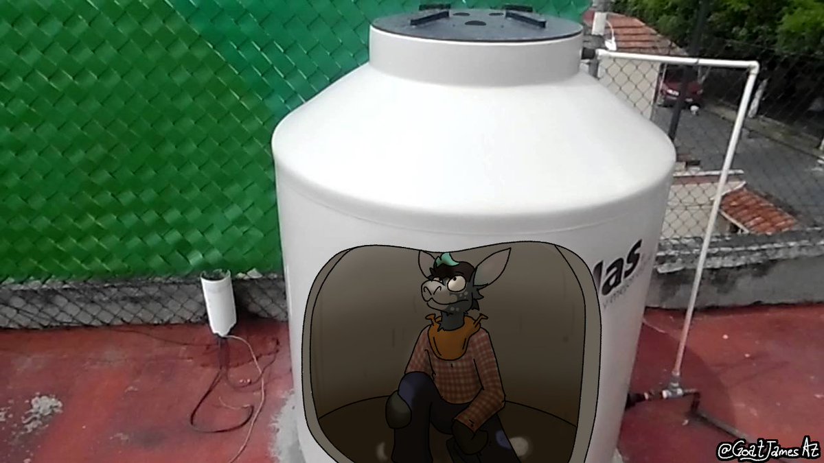 GoatJamesAz's tweet image. Sight of the #furry #rotoplas race