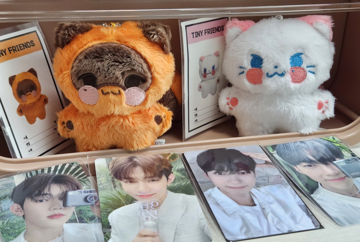 ZB1_farmer_'s tweet photo. #작은친구들이_작꾸생각나
#날_기다린다고냥_빈
#짱구리_예뻐해줄_친구_마니_이쓰까 

아기다리고기다리던 작은친구들 !
냥비니 짱구리 다다 넘 귀엽고 보슬보슬,,♡♥︎ https://t.co/8aEnMV93v5