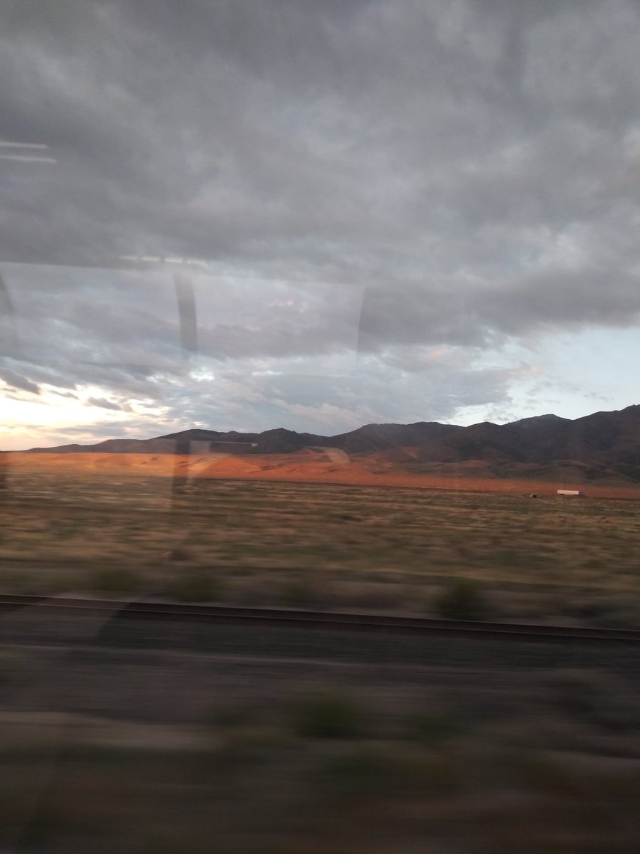 Jess Simms tweet media