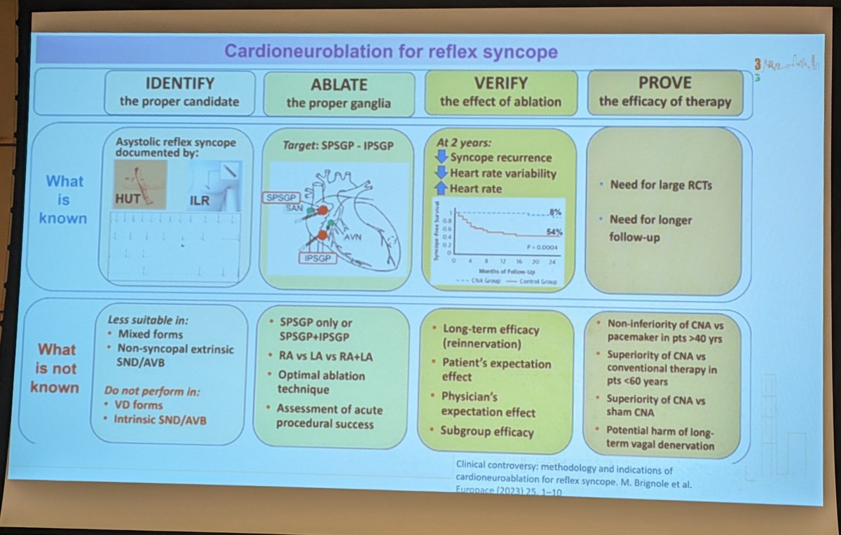 Dr. Jonathan Lipton (@epinnovation) on Twitter photo Cardioneuroablation practical approach by <a href="/foojhihui/">FOO JHI HUI</a> : 1. identity patient (tilt table/ilr) 2. Identity and ablate appropriate ganglia+verify result 3. Verify longer effect by symptoms, heart rate (variability). Further data needed on longer term efficacy #aphrs2023 Cardioneuroablation practical approach by <a href="/foojhihui/">FOO JHI HUI</a> : 1. identity patient (tilt table/ilr) 2. Identity and ablate appropriate ganglia+verify result 3. Verify longer effect by symptoms, heart rate (variability). Further data needed on longer term efficacy #aphrs2023