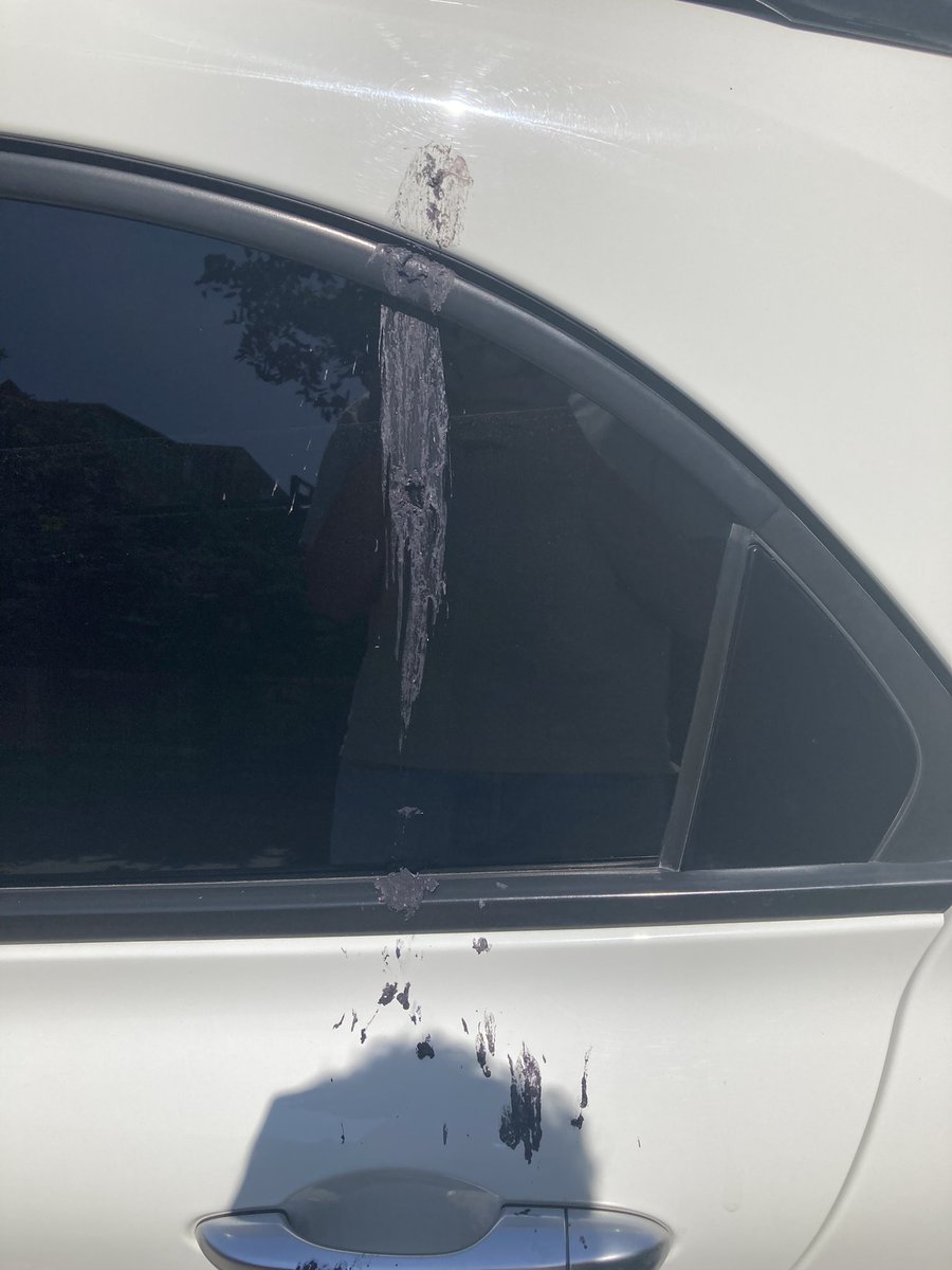 i wonder what fck is this bird is fed