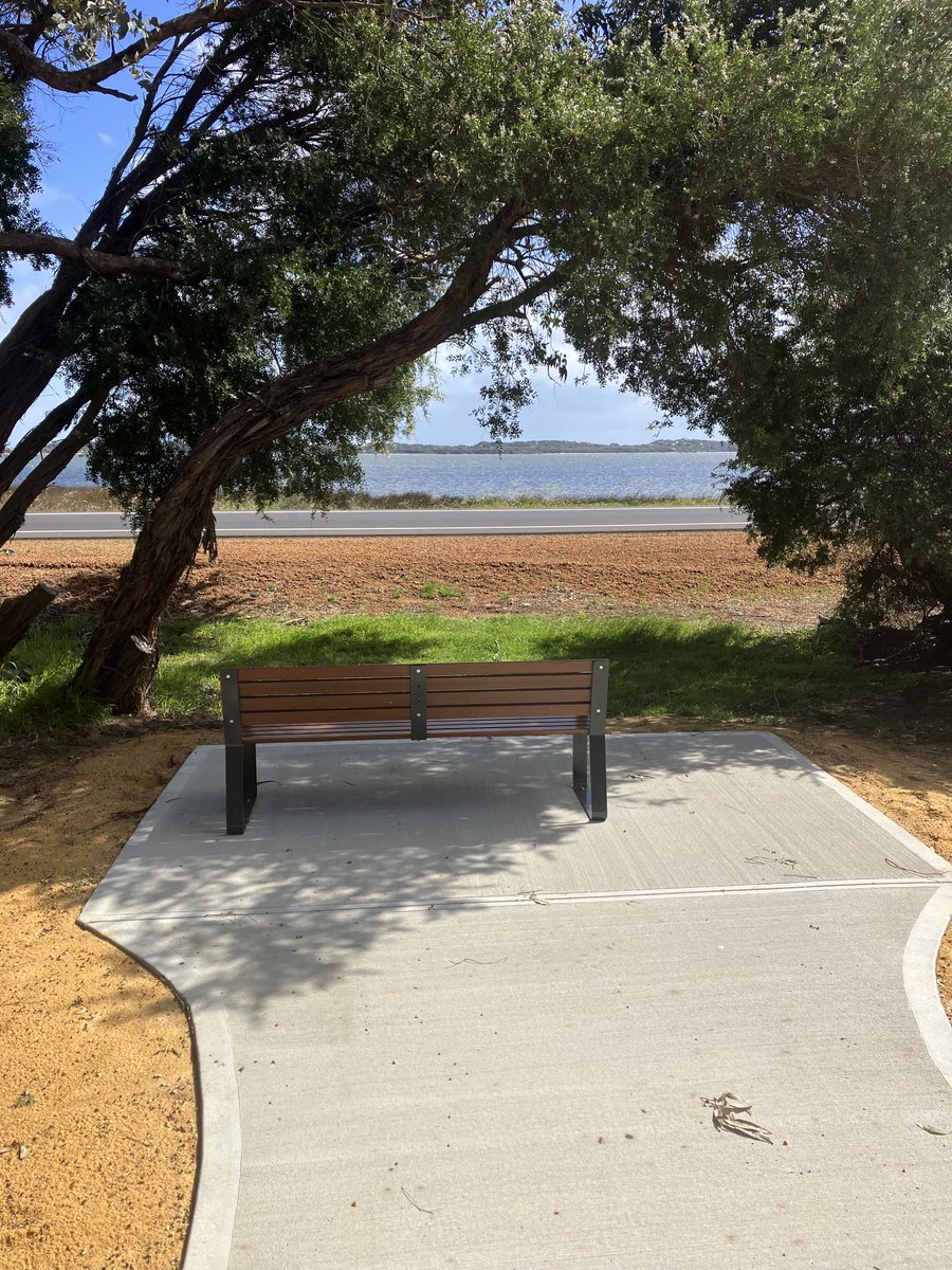 lionsofoz's tweet image. Is this just in Australia or does your council think you want to sit right next to a super busy road. #fail #notthinking