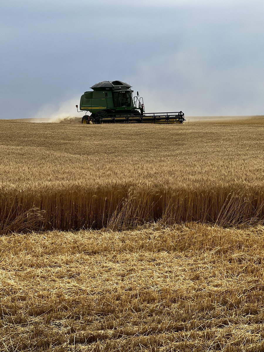 DollanskyWayne's tweet photo. #harvest2023 #landoflivingskies https://t.co/O4sgT0qXvo