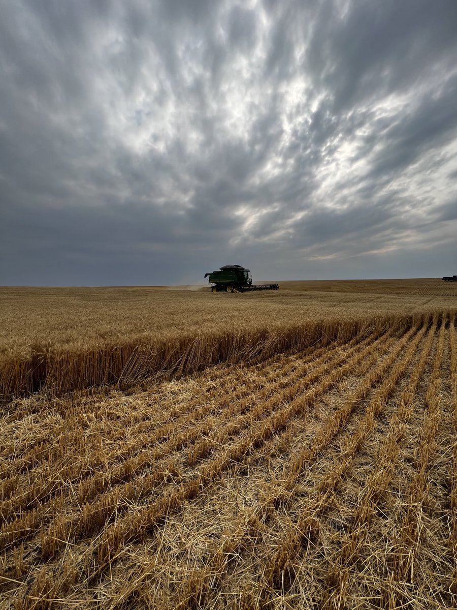 #harvest2023 #landoflivingskies