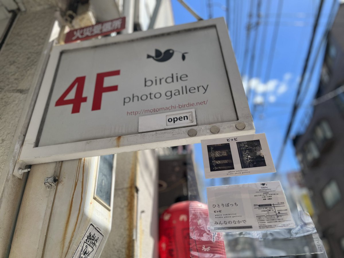 birdie_gallery's tweet photo. オープンしました！ https://t.co/xiAaBAdhDA