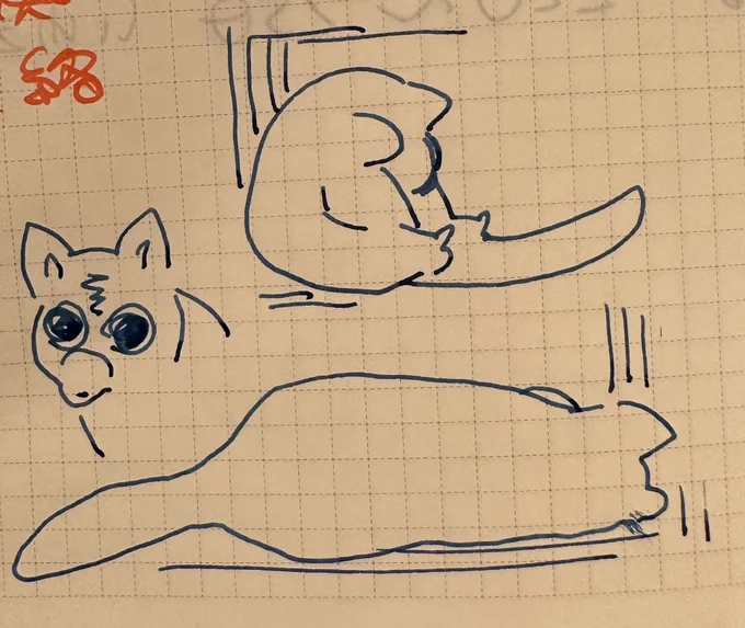 これはこないだ動物園で見た薬物中毒者みたいな寝方してるフクロギツネの絵です