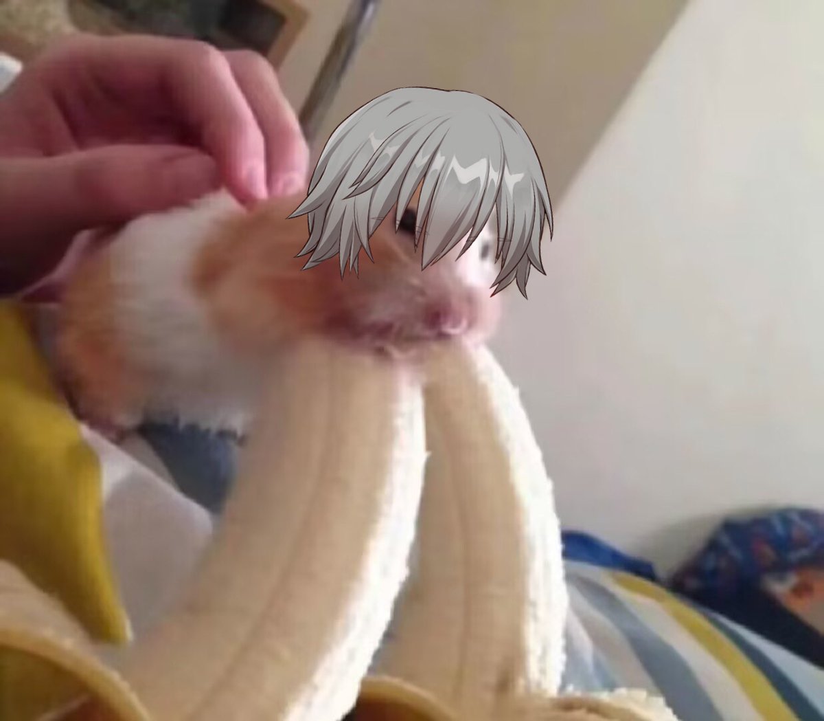 Dragon's wives bilek
#zhongchi #neuvithesley #dancae