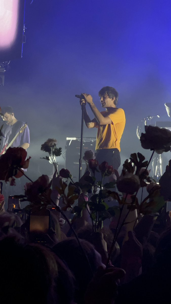 louflrcrown's tweet photo. Ltwt × Fitfwt 🥹🫶
#flowersforlouis https://t.co/xgpcrkVEGT